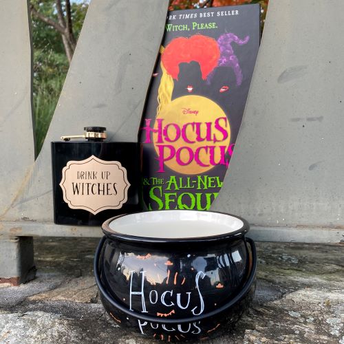 Hocus Pocus Book with flask and cauldron
