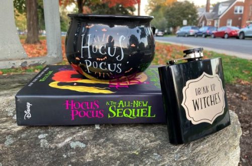 Hocus Pocus hardcover with a flask and cauldron
